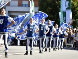 Domani è il giorno del Palio degli asini e dei mercatini ambulanti ad Alba: tutte le modifiche alla viabilità