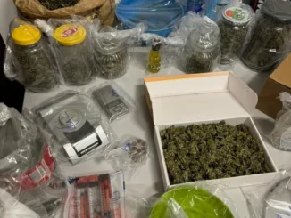 Aveva un chilogrammo di marijuana in casa e pubblicizzava lo spazio su Tik tok