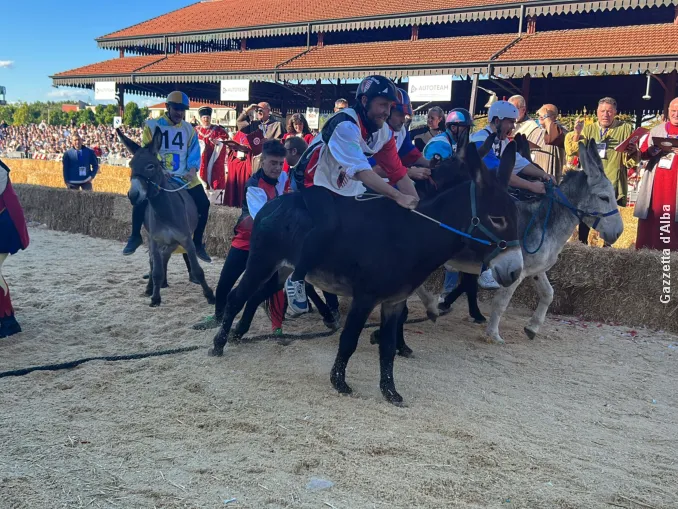 Oggi, domenica 5 ottobre, ad Alba si corre il Palio degli asini (foto e video) 39