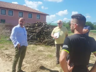 Asti / Nuova