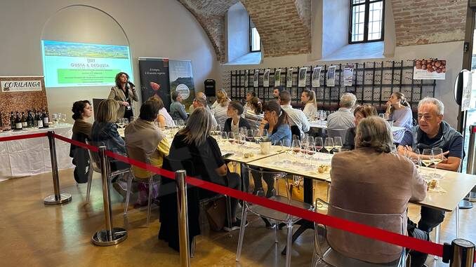 tasty lab barolo I Tasty lab all'enoteca del Barolo valorizzano vini e prodotti agroalimentari