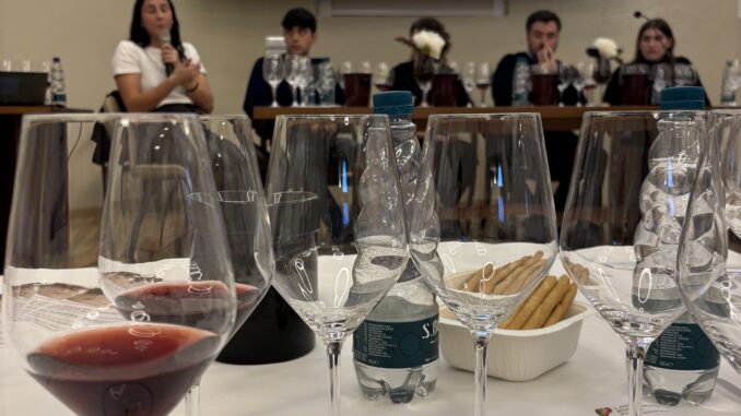 Barolo e Barbaresco: similitudini e differenze di due icone delle Langhe