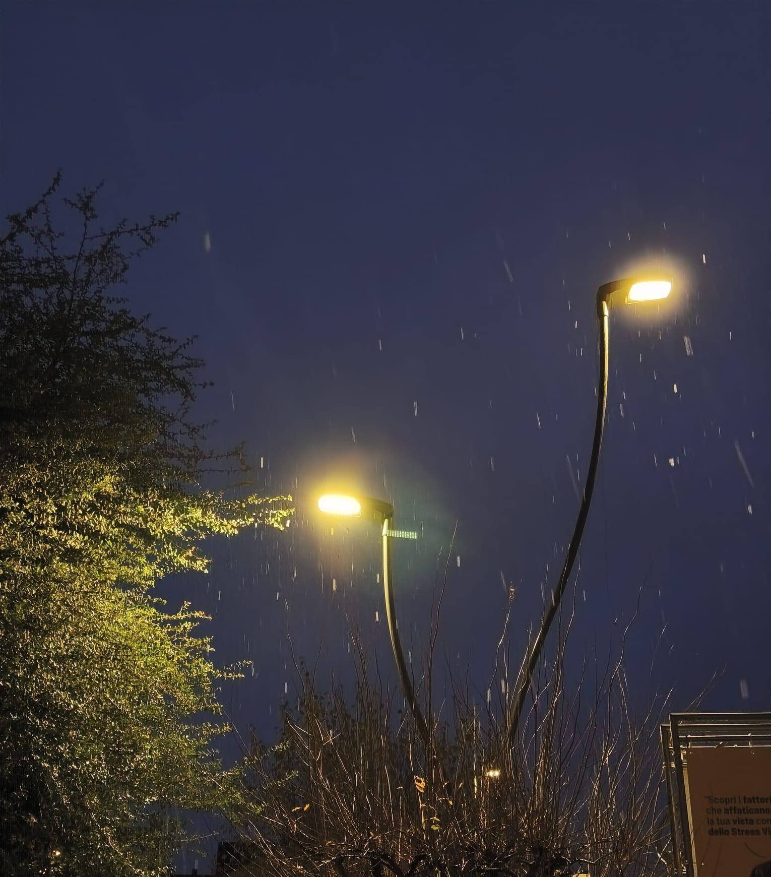 Bozza automatica 795