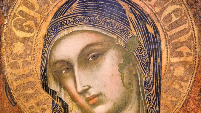 Alba riceve in dono una Madonna del latte di Barnaba da Modena 5