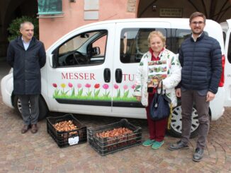 Tulipani da Pralormo: ad Alba arrivano 3.000 bulbi per le aiuole 2026