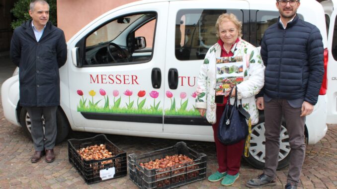 Tulipani da Pralormo: ad Alba arrivano 3.000 bulbi per le aiuole 2026