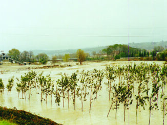 La discarica Toppino e i danni dell’alluvione del 1994: « i rifiuti arrivarono fino all'Adriatico. oggi è ancora da bonificare»