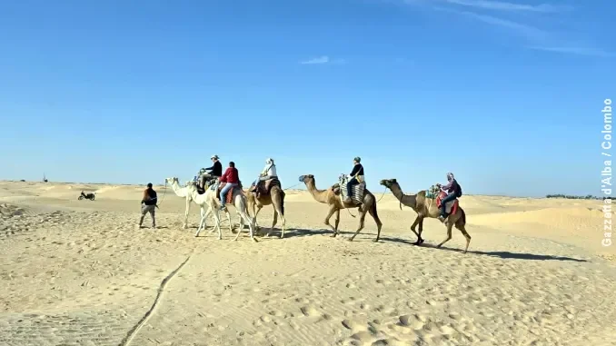 Pellegrinaggio in Tunisia / Nel deserto sul dorso di un cammello e poi Sfax e