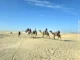 Pellegrinaggio in Tunisia / Nel deserto sul dorso di un cammello e poi Sfax e