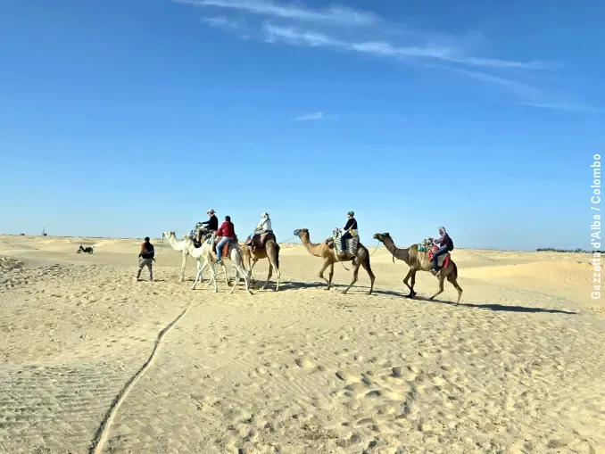 Pellegrinaggio in Tunisia / Nel deserto sul dorso di un cammello e poi Sfax e
