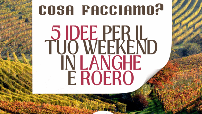 COSA FACCIAMO? / 5 idee per il tuo weekend in Langhe e Roero