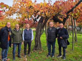 Il Barolo e il Moscato in Irpinia