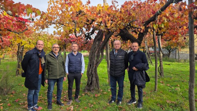 Il Barolo e il Moscato in Irpinia