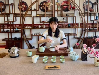 Il consorzio Oltre le Alpi spiega il vino piemontese in Cina: «Uno scambio rivolto al futuro dell’enogastronomia» 1