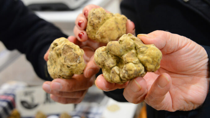 La qualità migliora ma i ta