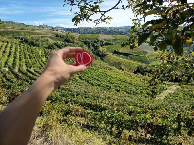 «Hai un cuore grande?» La Collina degli Elfi cerca nuovi volontari 1
