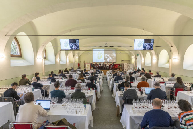 Nasce Rotaria, piattaforma di dialogo enoculturale del Roero 2