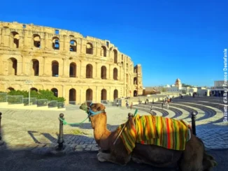 Diario di viaggio / Tutte le facce della Tunisia