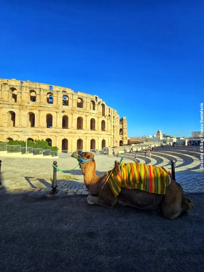 Diario di viaggio / Tutte le facce della Tunisia