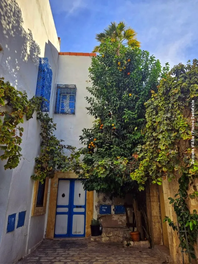 Diario di viaggio / Tutte le facce della Tunisia 4