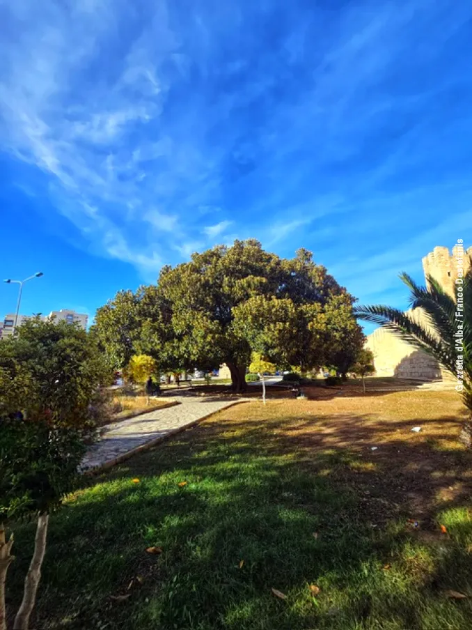 Diario di viaggio / Tutte le facce della Tunisia 1