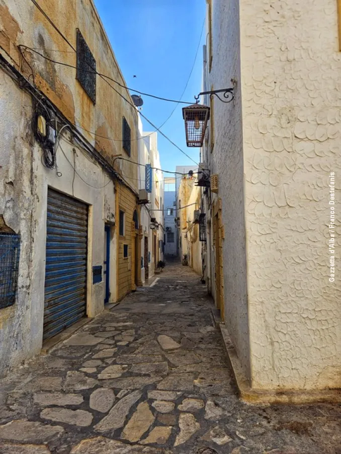 Diario di viaggio / Tutte le facce della Tunisia 20