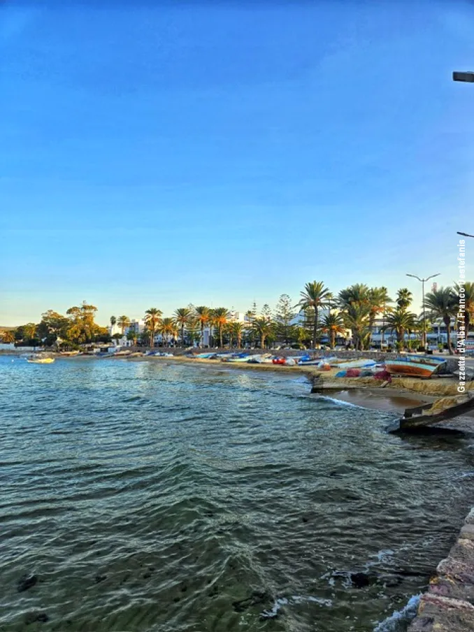 Diario di viaggio / Tutte le facce della Tunisia 14