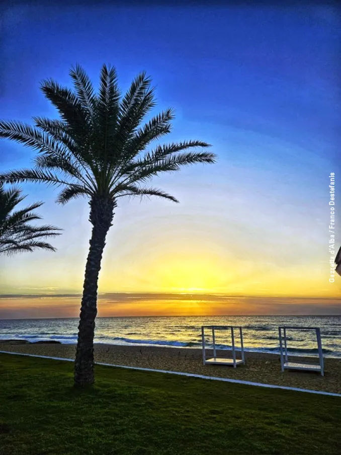 Diario di viaggio / Tutte le facce della Tunisia 11