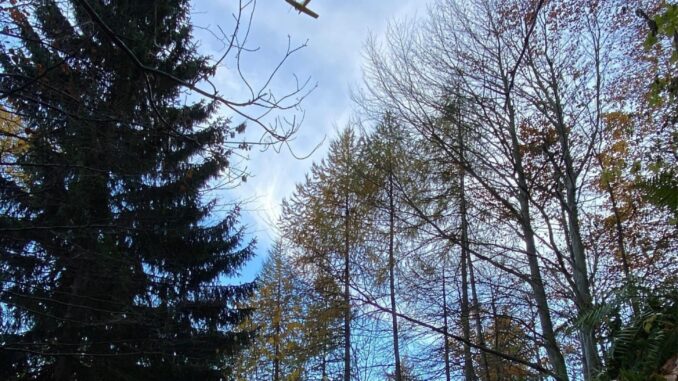 Tre interventi del Soccorso Alpino in poche ore in Val Pellice