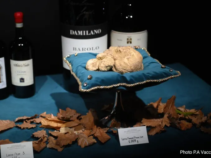 A Grinzane Cavour è in corso l'Asta del tartufo - La diretta 2