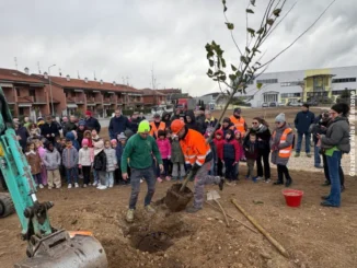 La festa dell'albero fa nascere il bosco urbano di Bra