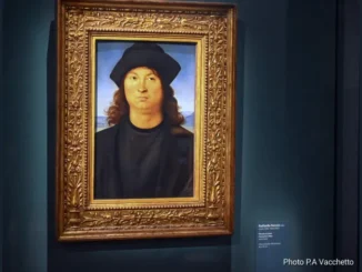 Cuneo / Da Raffaello a Bernini: il complesso di San Francesco palcoscenico del Rinascimento e del Barocco 6