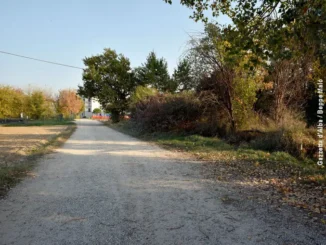Strada Gamba di Bosco: prosegue l’iter grazie al finanziamento da 2,9 milioni approvato dal Consiglio comunale