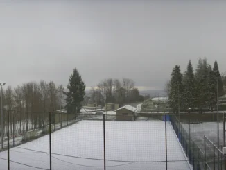 Bozza automatica 792