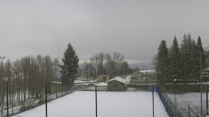 Bozza automatica 792