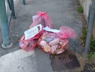 Alba / Se le lattine restano in strada invece di essere prelevate chi viene sanzionato?