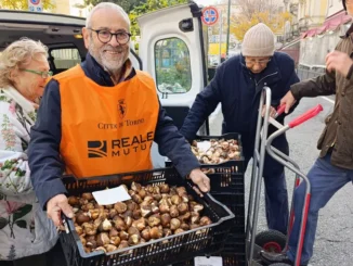 Messer tulipano consegna i bulbi ad Alba. Appuntamento domani, venerdì 14 novembre 1