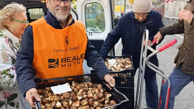 Messer tulipano consegna i bulbi ad Alba. Appuntamento domani, venerdì 14 novembre 1