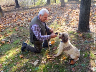 Tuber next gen, l'analisi dei territori vocati al tartufo sarà presentata ad Alba venerdì 7 novembre