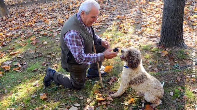 Tuber next gen, l'analisi dei territori vocati al tartufo sarà presentata ad Alba venerdì 7 novembre