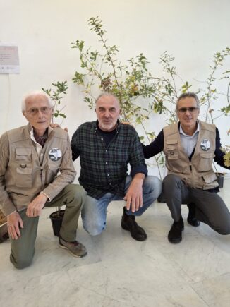 Consumo di suolo e tutela del verde: le iniziative sul territorio albese e le domande della comunit&agrave; Laudato si' 1