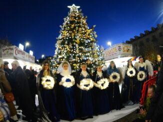 La Comunità Laudato si': «Basta alberi di Natale condannati a morte: esponiamo piante con le loro radici» 1