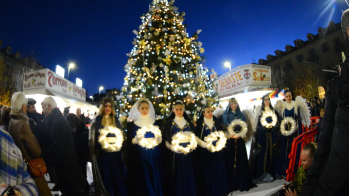 La Comunità Laudato si': «Basta alberi di Natale condannati a morte: esponiamo piante con le loro radici» 1