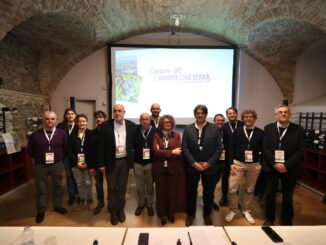 Il Barolo 2022 convince gli esperti: resilienza e carattere in un’annata estrema