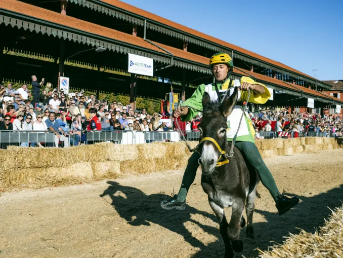 La 95ª Fiera del tartufo di Alba si conclude con 90mila ingressi al mercato della Maddalena
