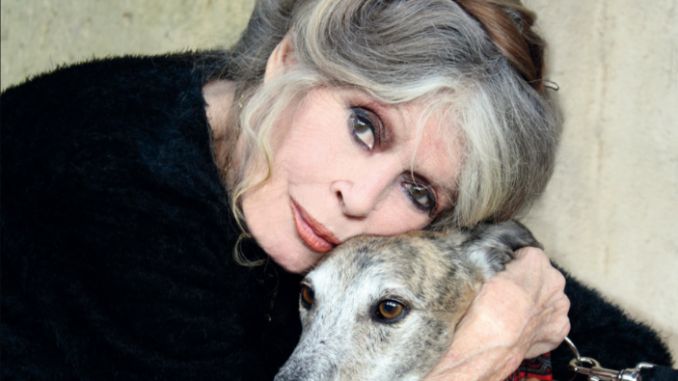 È morta Brigitte Bardot, simbolo eterno del cinema 1