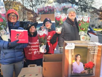 Stelle di Natale AIL, tornano gli stand solidali dal 5 all’8 dicembre