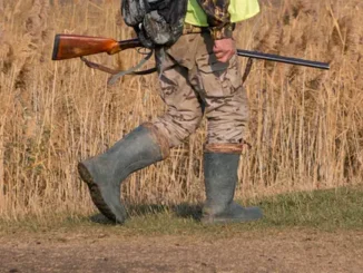 Incidente di caccia nel Torinese, uomo ferito a un piede