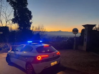 Bozza automatica 811