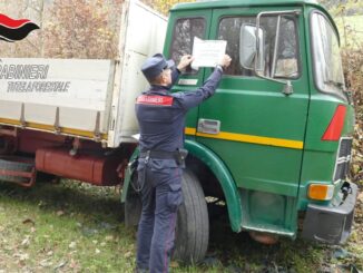 Bozza automatica 799